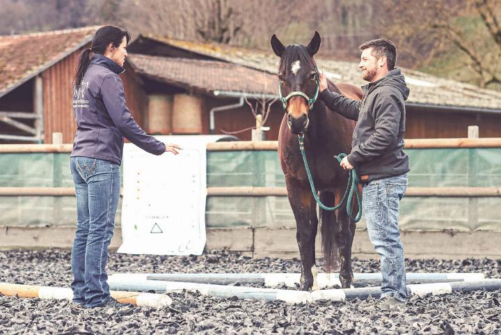Bild zvg