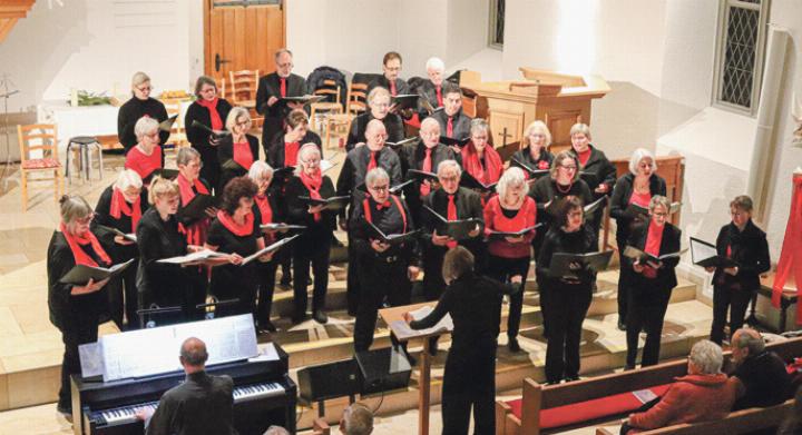 Der Chor «… ma non troppo» bei einem seiner Auftritte.
Bild zvg