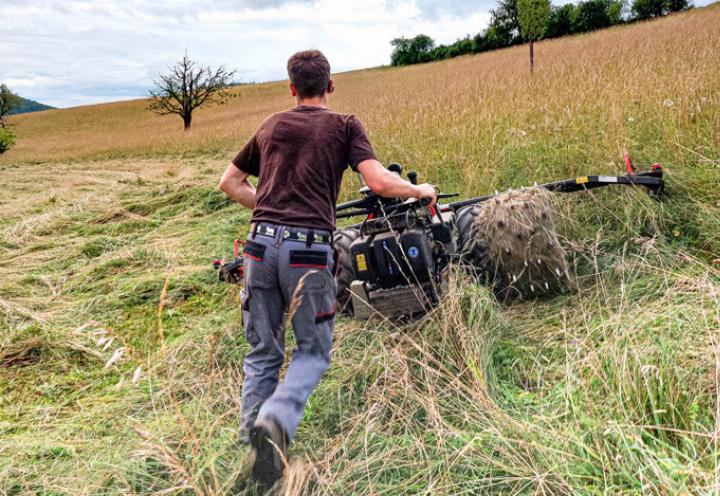 Bauernbetriebe bekunden Mühe, qualifizierte Mit-
arbeitende zu finden, die nach einer Einführung
selbstständig arbeiten können.
Bild zvg Bauernbetriebe bekunden Mühe, qualifizierte Mit-
arbeitende zu finden, die nach einer Einführung
selbstständig arbeiten können.
Bild zvg