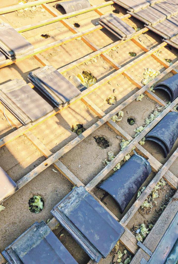 Solche Schäden am Hausdach können durch «Marder Protect» verhindert werden. Bild zvg