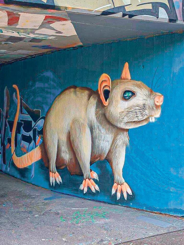 Ratten sind nicht nur abstossend. Gesehen wurde dieses Graffi ti von Walter Sprenger aus Itingen in einer Fussgängerunterführung im Schänzli.