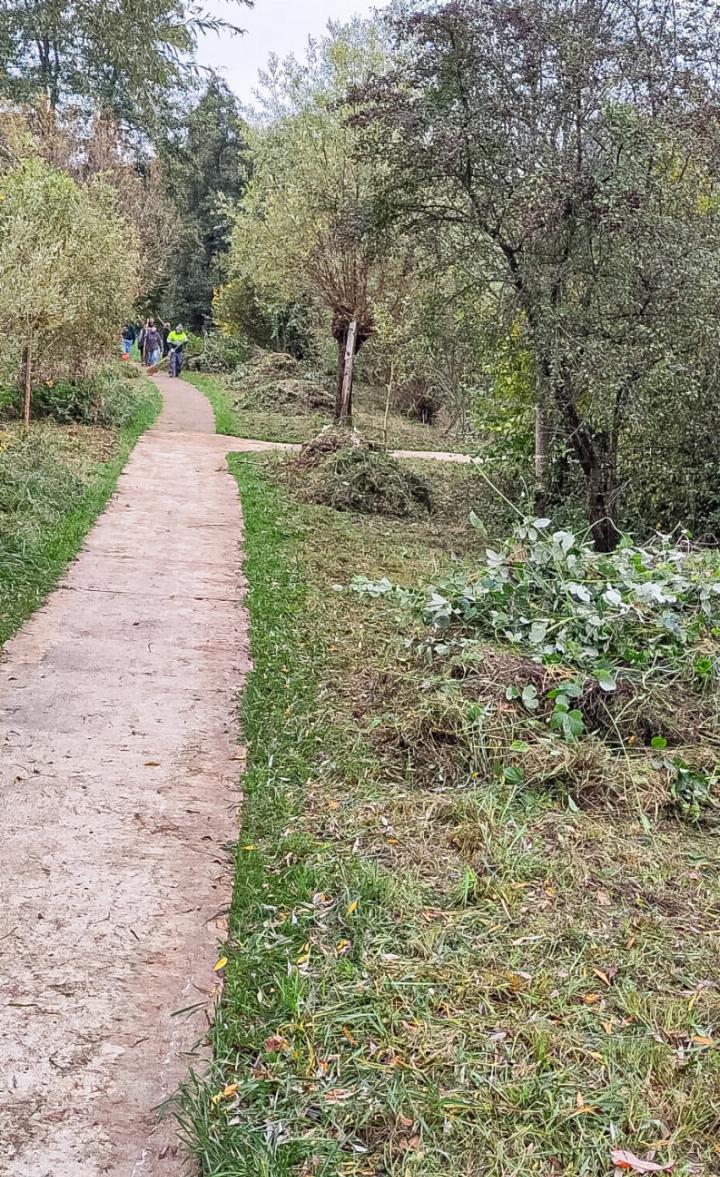 Eine der Arbeiten am Naturschutztag ist das Einsammeln von Schnittgut.
Bild zvg Eine der Arbeiten am Naturschutztag ist das Einsammeln von Schnittgut.
Bild zvg