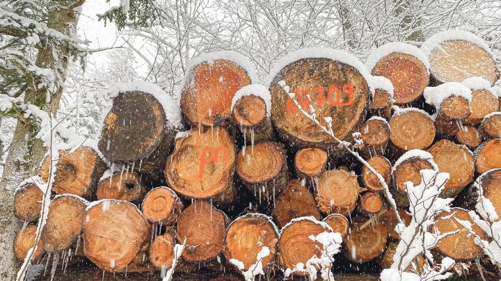 «Der nächste Winter kann kommen», dachte sich Ivo Schädler aus Läufelfi ngen beim Anblick des Holzes.