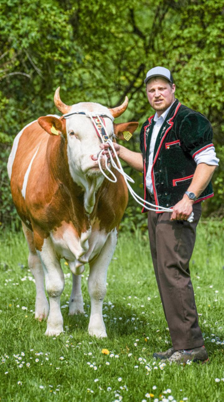 Eine Tonne bringt das Tier von Christoph Gerber auf die Waage. Bild zvg