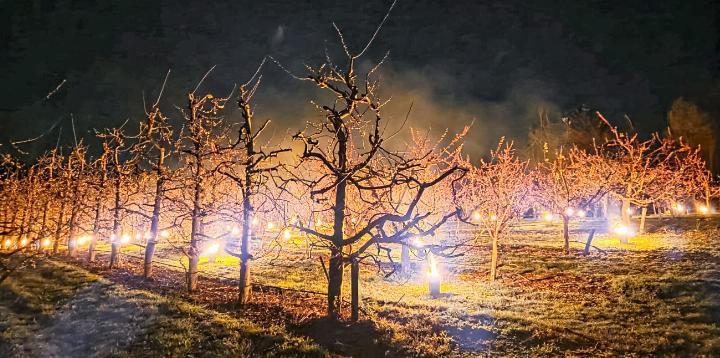 Mit Wärme gegen den Frost: Die Baselbieter Obstbauern waren am Wochenende wegen des Wetters gefordert. Bild zvg