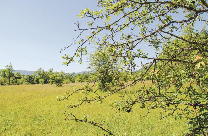 Die Heidelandschaft zwischen Arlesheim, Münchenstein und Reinach.
