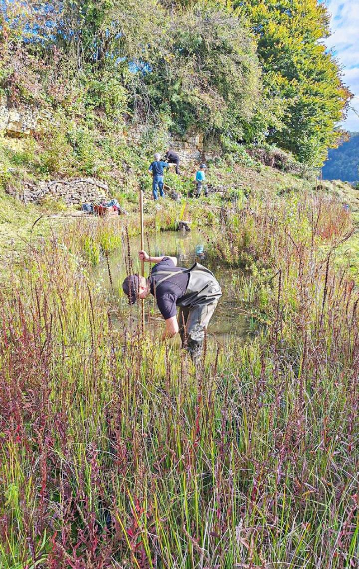 Arbeiten rund um Weiher helfen den Kröten.
Bild zvg