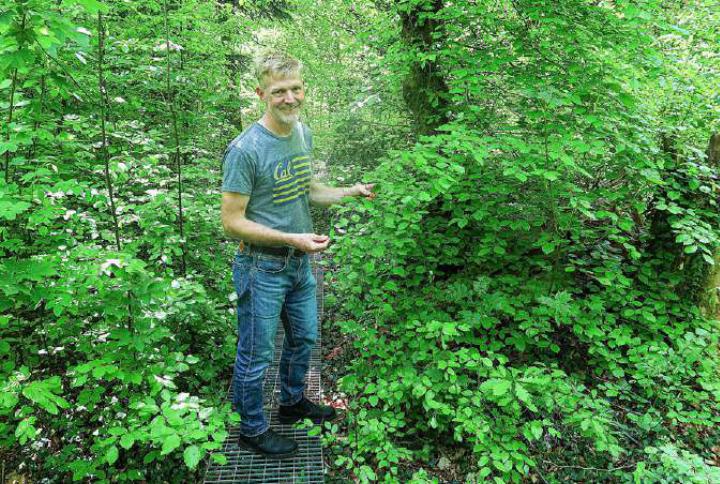 Forscher Ansgar Kahmen sagt: «Der Wald wird nicht verschwinden, aber er wird sich verändern.» Bild Elmar Gächter
