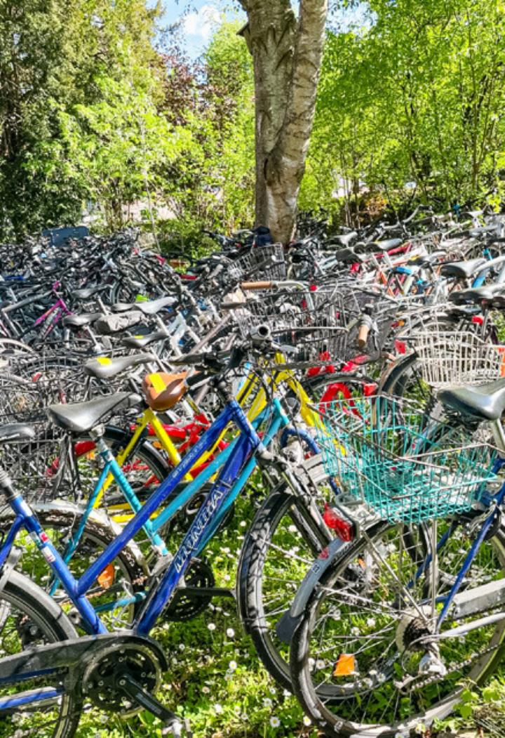 200 Velos wurden bei der Sammlung von SP und Velafrica abgegeben. Bild zvg