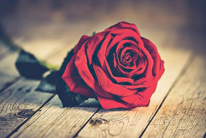 Valentinstag bedeutet nicht nur, seinen Liebsten rote Rosen zu schenken. Die Liebe spielt auch in der Kirche eine zentrale Rolle. Bild zvg