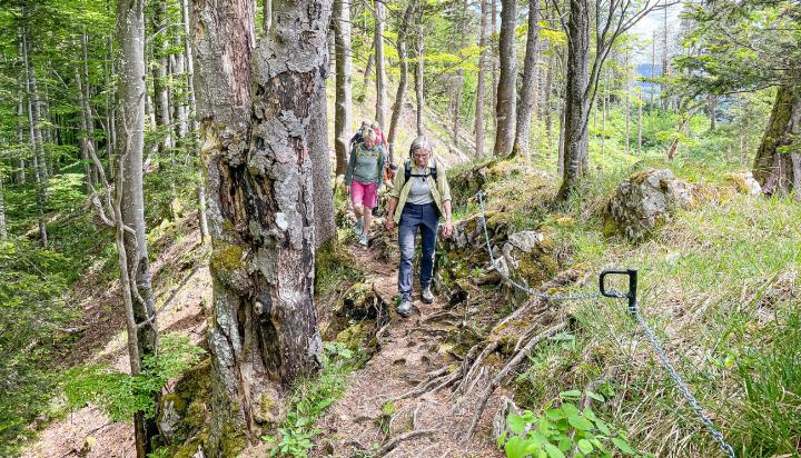Bei der Frühlingswanderung zwischen Langenbruck und geht es durch Wälder, Wiesen und über 
Grate; unterwegs gibt es atemberaubende 
Aussichten.
Bild zvg / Sabina Bösch