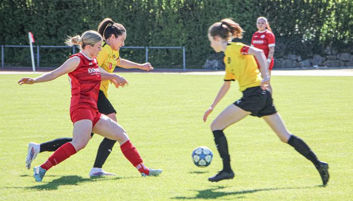 Vlora Dibrani (in Rot) und ihre Teamkolleginnen behaupten sich gegen Brig und siegen 2:1. Bild Timo Wüthrich