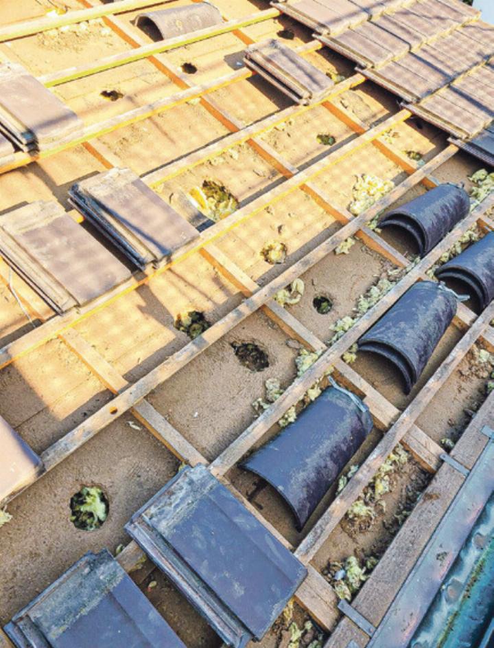 Solche Schäden können durch «Marder Protect» verhindert werden. Bild zvg