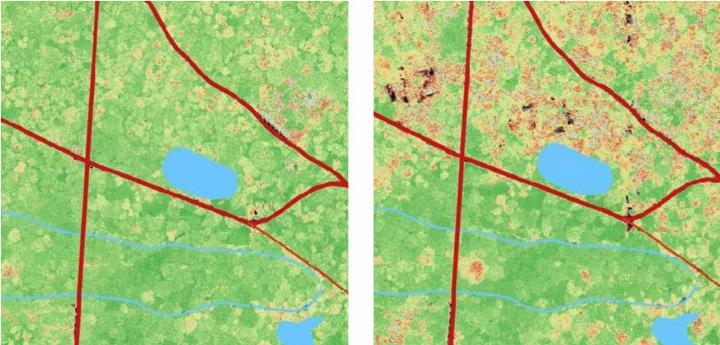Wald in der Hard, August 2021 und 2022 (rechts).
Bilder zvg