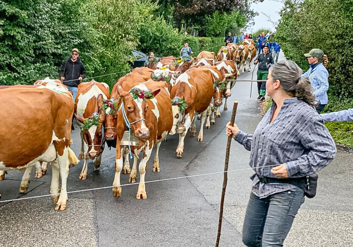 Kein Alpabzug, sondern auf dem Weg zum Dorfplatz in Bretzwil. Bild fra.