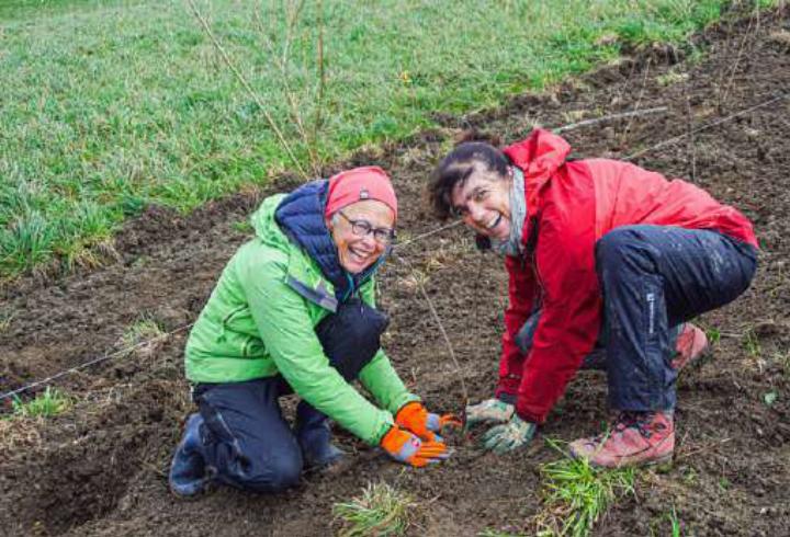 Pascale Steck (rechts), Geschäftsleiterin WWF Region Basel, und Claudia Settelen, freiwillige Helferin, setzen eine Heckenpflanze. Bild Otto Graf