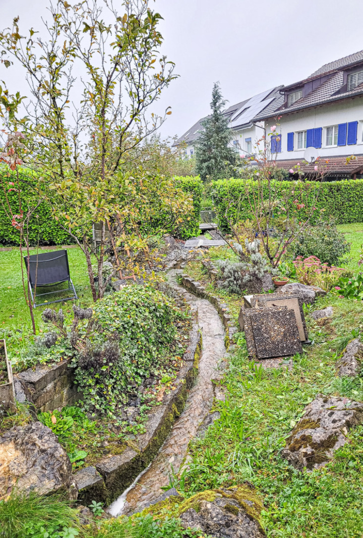 Das Haldenbächli fliesst auf Kantonsland teilweise offen durch die Gärten. Bei einer Ausdolung hätten Eigentümer viel Land nicht mehr nutzen dürfen. Bild nsc.