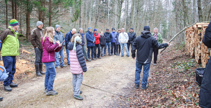 Bei der gut besuchten Gant wurde erstklassiges Buchenholz zur Versteigerung angeboten. Bilder Brigitt Buser