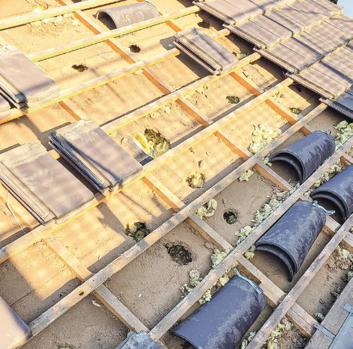 Solche Schäden können durch «Marder Protect» verhindert werden. Bild zvg Solche Schäden können durch «Marder Protect» verhindert werden. Bild zvg