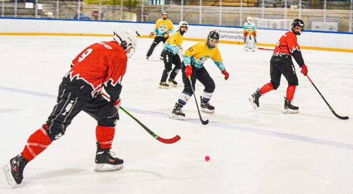 Beim Bandy sind wie beim Eishockey Geschicklichkeit und Ausdauer gefragt. Bilder Sander van Riemsdijk