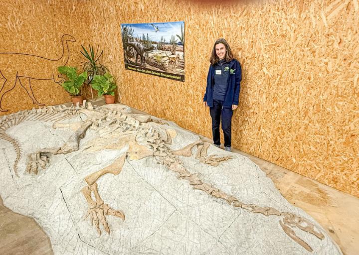 Museumsleiterin Andrea Oettl und der Plateosaurier «XL». Bild Susanne Hörth Museumsleiterin Andrea Oettl und der Plateosaurier «XL». Bild Susanne Hörth