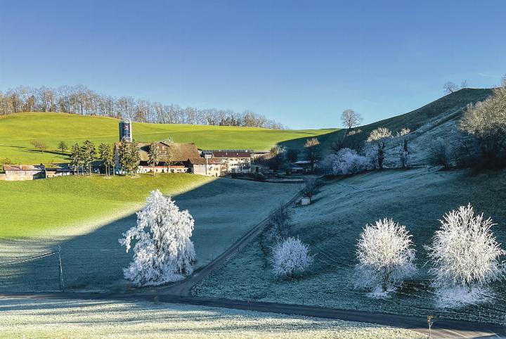 «Rückzug des Nebels am Unteren Hauenstein, auf Baselbieter Seite», schreibt Res Thomet aus Diegten zu seinem Bild.
