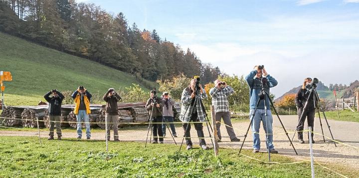 Ornithologen halten auf der Ulmethöchi Ausschau nach den Zugvögeln.
Bild zvg