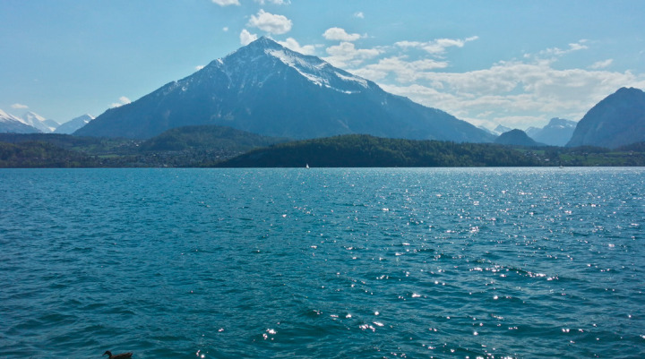 Vor vier Jahren wurde bei Gunten eine tote Frau im Thunersee gefunden – der Mordverdächtige ist ein Oberbaselbieter. Bild zvg