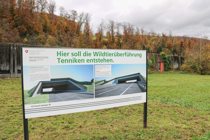 Der Bund möchte in Tenniken eine Wildtierbrücke über die Autobahn bauen; rechts ist eines der Profile zu sehen. Bild je. Der Bund möchte in Tenniken eine Wildtierbrücke über die Autobahn bauen; rechts ist eines der Profile zu sehen. Bild je.