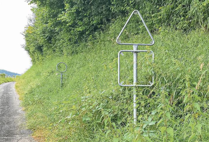 «Das Schilderwaldsterben wird von Experten auf sauren Regen und Überdüngung der Böden zurückgeführt.»