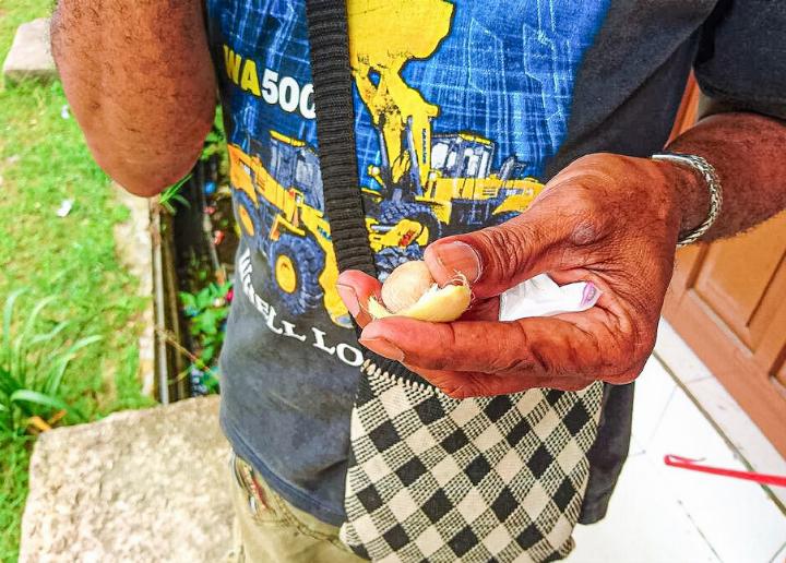 Betelnuss, geschält: Wer zu viel davon kaut, verliert Zähne. Bilder Hanspeter Gsell