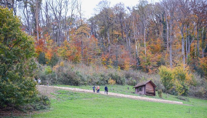 Die neue Mauer am Waldrand oberhalb des «Alpbads» ist von Weitem zu erkennen. Bilder Christian Horisberger/zvg