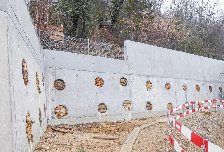 Gesamtansicht der «lebendigen» Stützmauer.
Bilder Heinz Döbeli