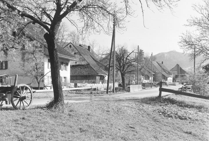 Archiv Heinz Spinnler