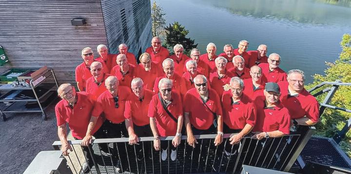 Die diesjährige Vereinsreise führte die Gelterkinder Sänger auf die Insel Schwanau. Bild zvg