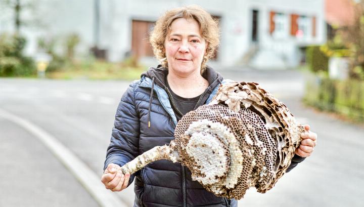 Maria Corpataux (50) mit einem besonders grossen Nest der Asiatischen Hornisse. Bild David Thommen