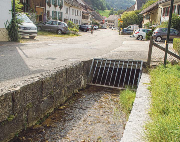 Der Dübach, meist zahm, gebärdet sich zuweilen wie der Wolf im Schafspelz. Bild Otto Graf