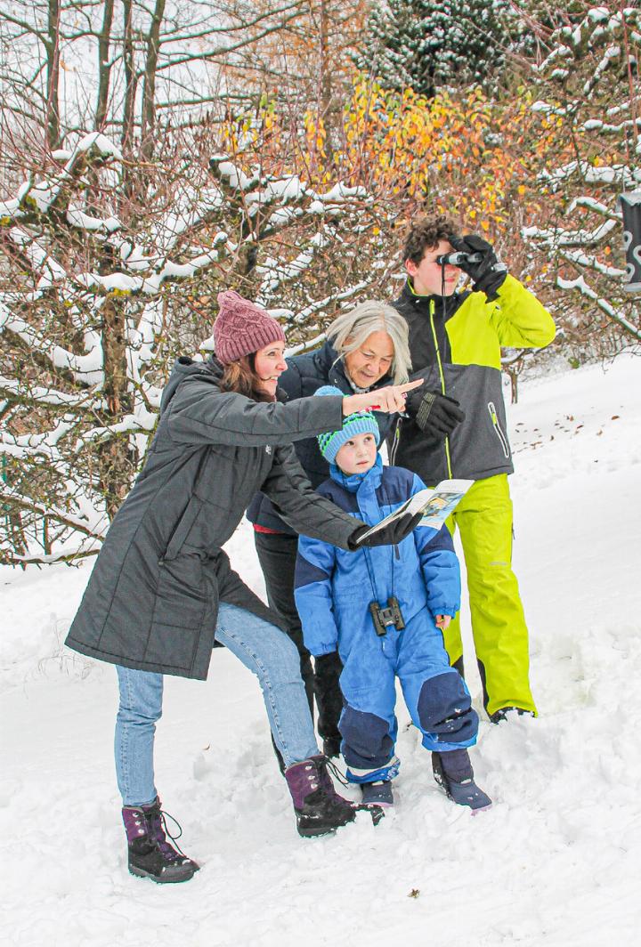 Mit der ganzen Familie oder alleine können Vögel im Winter im Garten beobachtet werden. Bild zvg / BirdLife Österreich