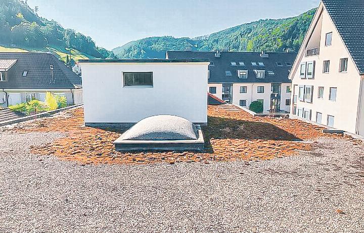 Mit einer Dachsanierung können Schäden
früh entdeckt werden.
Bild zvg Mit einer Dachsanierung können Schäden
früh entdeckt werden.
Bild zvg