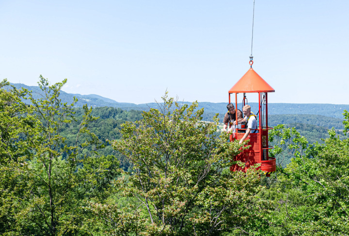 Eine Gondel am Drahtseil eines Baukrans trägt die Forschenden über die Baumkronen des Waldlabors.
Bild zvg / Uni Basel / Christian Flierl