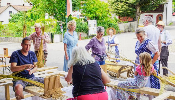 In Maisprach wird der eigenhändig angebaute Flachs «geriffelt» wie anno dazumal. Bild zvg