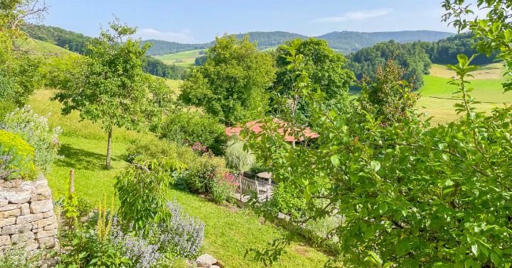 Im Juli zeigten sich Königskerze und Küchensalbei im unteren Teil des Stufengartens von ihrer schönsten Seite. Bilder Brigitt Buser Im Juli zeigten sich Königskerze und Küchensalbei im unteren Teil des Stufengartens von ihrer schönsten Seite. Bilder Brigitt Buser