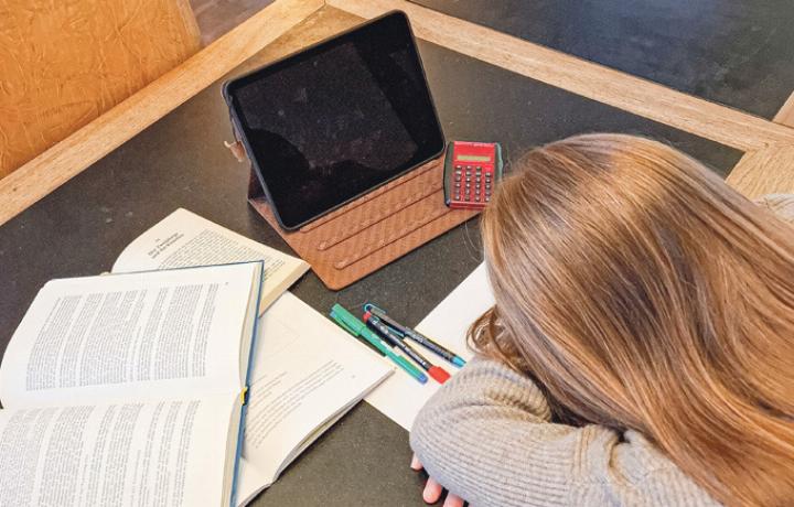 Sehvital kann bei Konzentrationsproblemen beim Lernen helfen.
Bild zvg