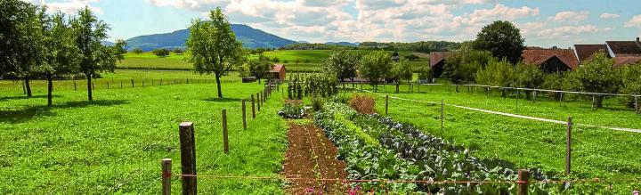 Der Verein Erlebnisraum Tafeljura setzt sich für die Natur im Baselbiet ein. Bild zvg