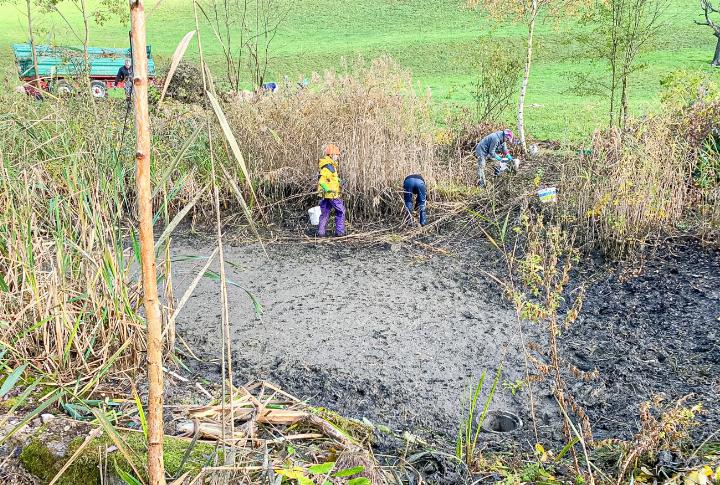 Blick auf den zurzeit trockengelegten Teil der Teiche. Bild André Frauchiger