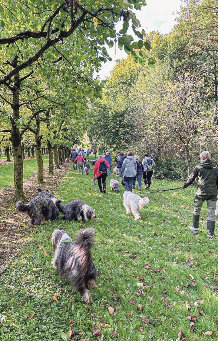 Die Wanderung konnte bei schönstem Wetter durchgeführt werden. Bild zvg