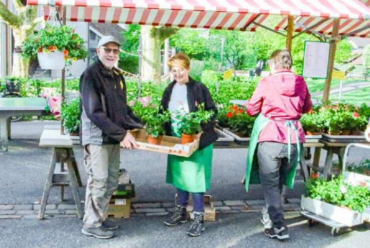 Gartenbauverein-Präsidentin Daniela Sager in ihrem Element. Bild Brigitt Buser