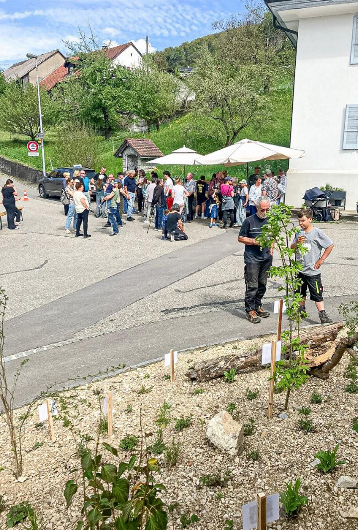 Die bisherige Bepflanzung wurde entfernt, die Rabatte mit Juramergel ausgelegt und neu mit einheimischen Gewächsen bepflanzt. Bild Thomas Gubler