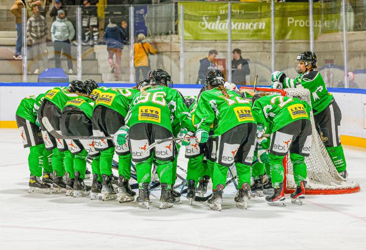 Die ZS-Ladies treten an diesem Wochenende in gleich zwei Play-off-Partien an. Bild Archiv vs