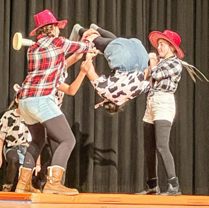 Die grosse Mädchenriege zeigte auch Kunststücke am Reck. Bild Jane Bures